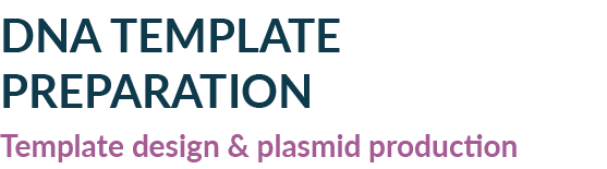 DNA TEMPLATE PREPARATION Template design & plasmid production 