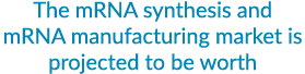 The mRNA synthesis and mRNA manufacturing market is projected to be worth